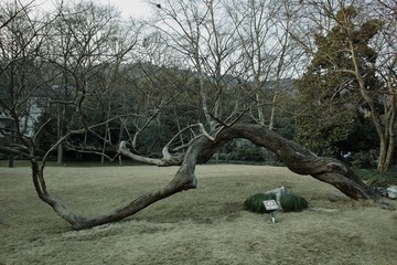 SDIM0686