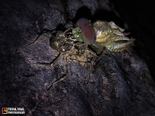 IMG_0268(1)