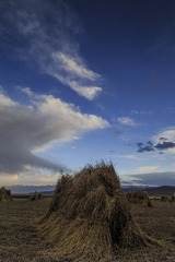MA_J0225