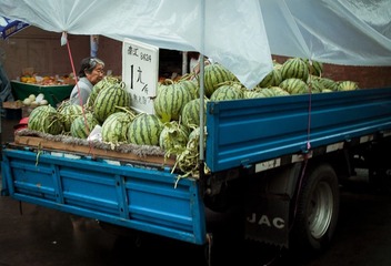 SDIM0485