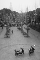 SDIM0290