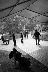 SDIM0244