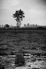 4998798510_dfff1a8699_b