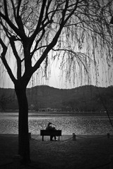_PEN0266x