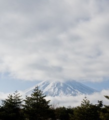 _ZRQ2863