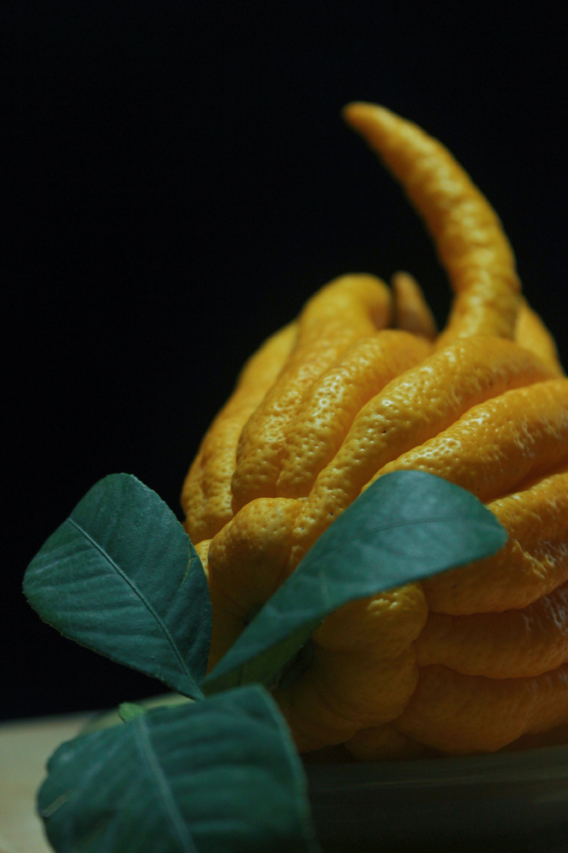 佛手柑 - capt-william