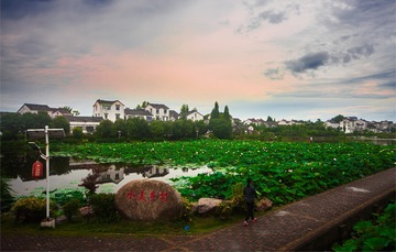 任康+13655175855+美丽乡村+东山香樟园
