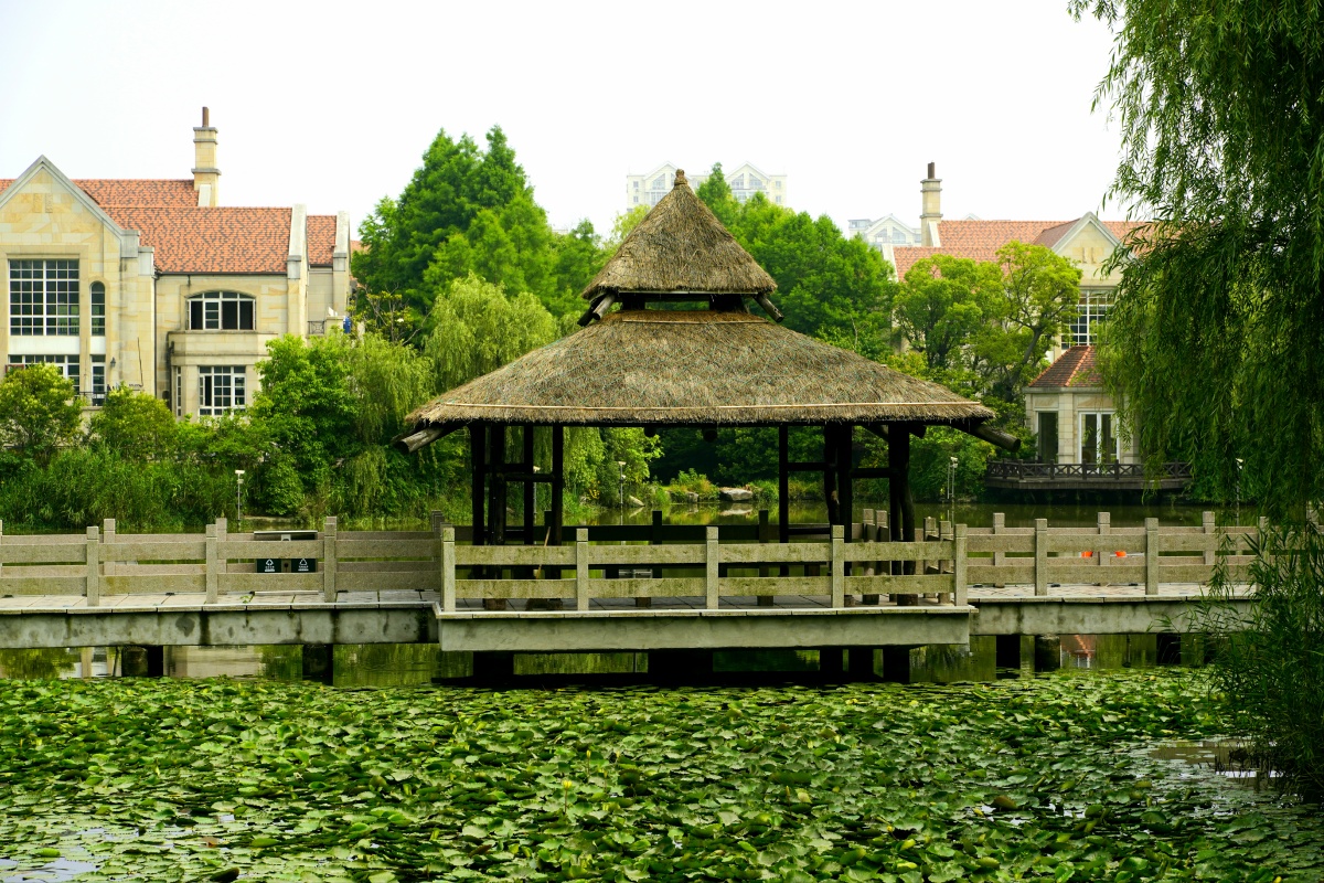 奉贤贤园解释了奉贤历史文化之源