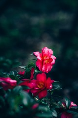 1EC07BF5-A651-44E7-A5C4-FF6207B66558/L0/001