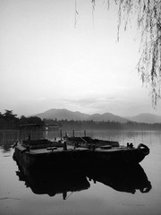 西湖苏堤 (7)