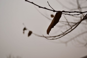 wuye