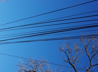IMGP0247__