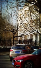 IMGP0392_