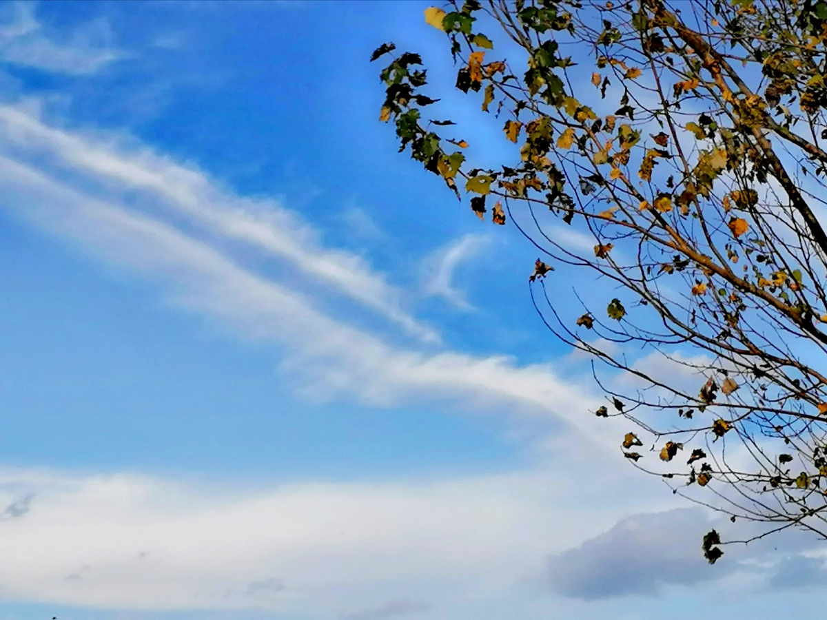 今天下午(2020.10.13)拍到的龙型云～那长长的身子很神似啊!