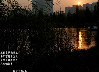 DSC00690_conew1