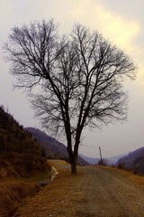 路
