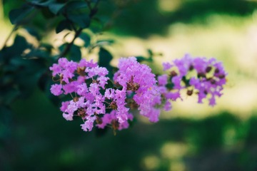 17EA1E5E-574B-42DD-8C6D-1DED87502FF3/L0/001