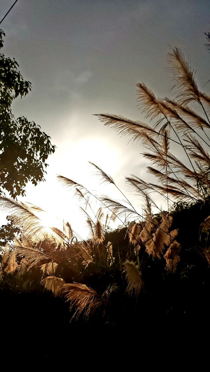 半下,接近黄昏,热!