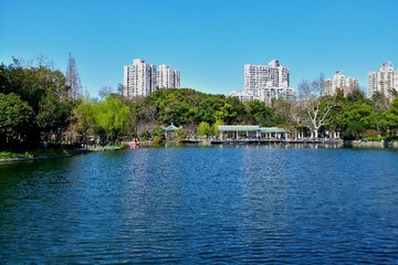GSW_8431