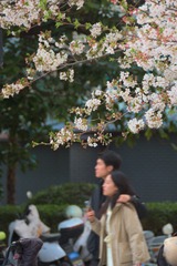 GSW_8766_01