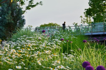 GSW_9816