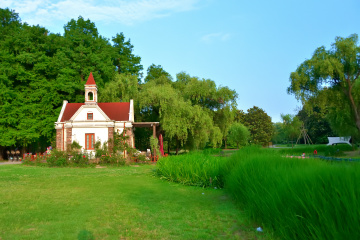 GSW_3887