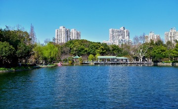 GSW_8431_01