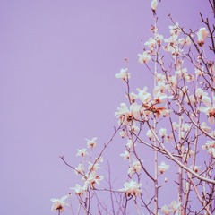 FEE32FD4-F11C-43D4-A0F8-A253BF89686D/L0/001