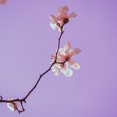A122F589-A84D-48EA-A5A6-62A3C190430F/L0/001