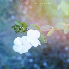 IMG_9583_