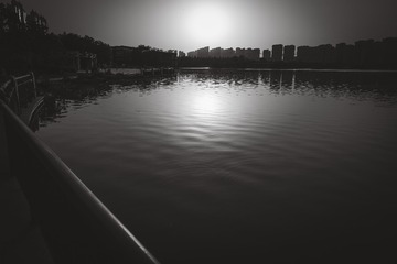 1000060251