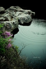 波纹