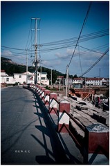 R0016295.jpg