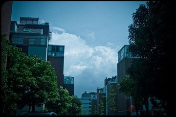 R0017780-3.jpg