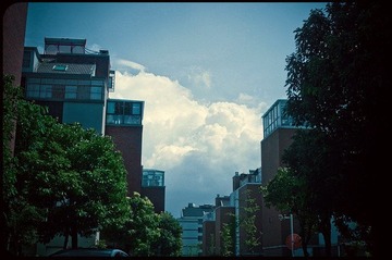 R0017780-3.jpg