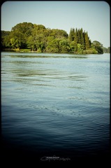 R0019470.jpg