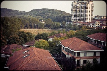 R0019506.jpg