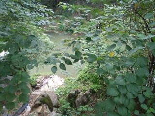 IMG_20230821_105901