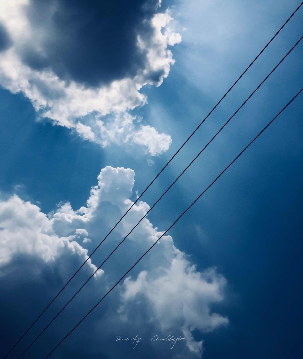 棉花糖 - 云光影像工作室 - 图虫