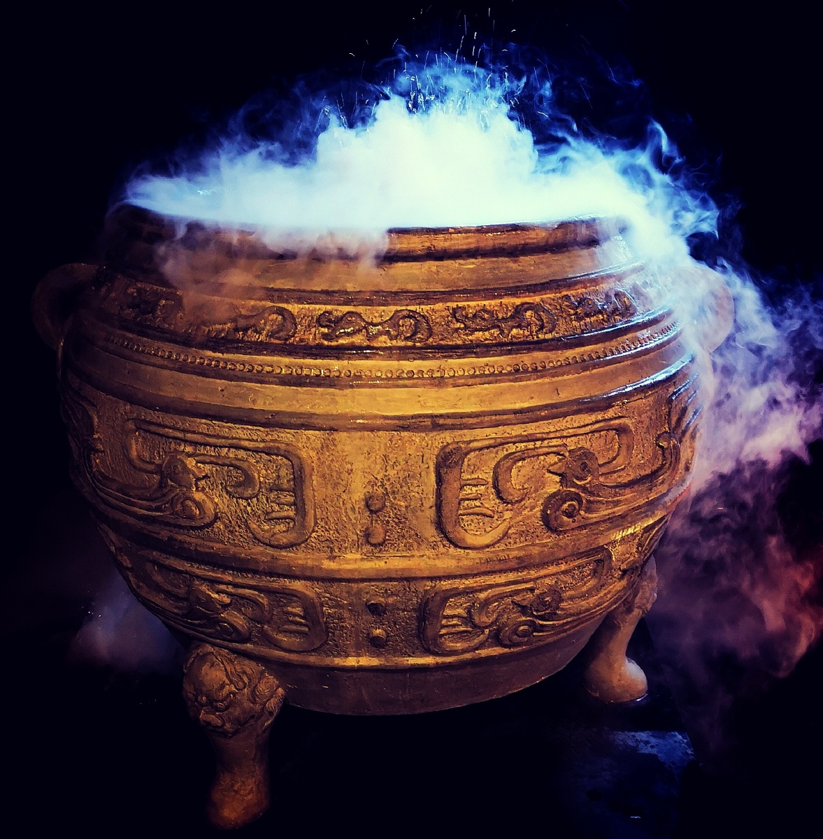 小鸽 - 图虫网 - 优质摄影师交流社区