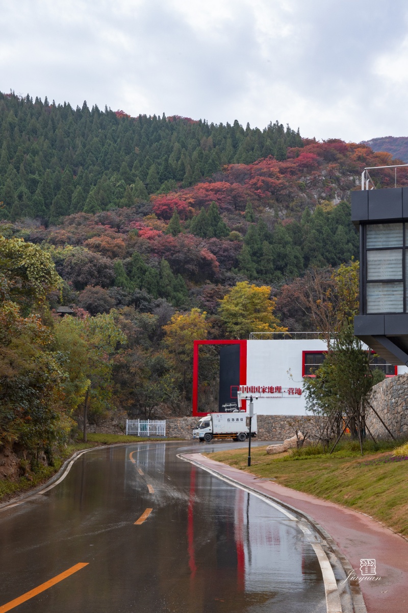 淄博 博山 红叶柿岩