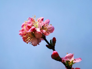 5A8E1B06-0505-4C7E-932B-2CF8DA2A3E87/L0/001