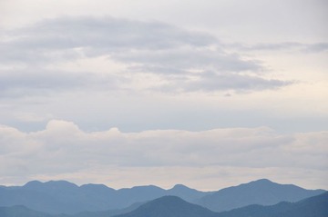 富春4