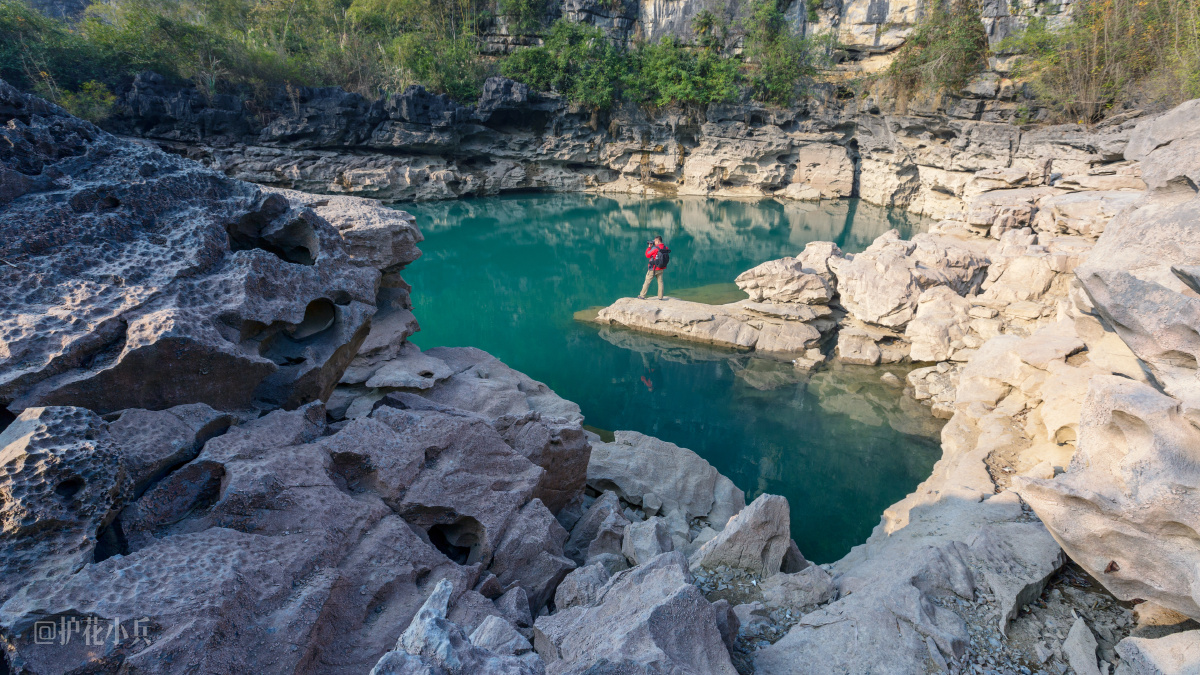 桃花水母二号天窗