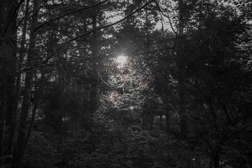 _DSC1745