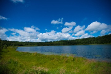 DSC_2541-1