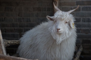 _DSC6803-13