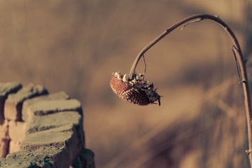_DSC6810-16