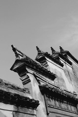 IMG_2202