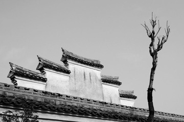 IMG_2201-1